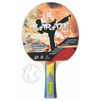 Ракетка для настольного тенниса Giant Dragon Karate ST12401 (4 звезды)